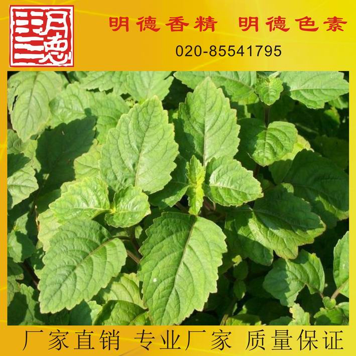 �c���鿴Ԕ��